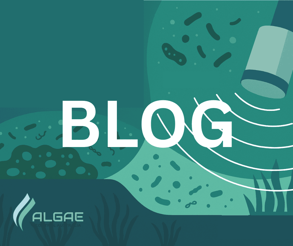 Preventing Harmful Algal Blooms with Advanced Ultrasonic Treatment Techniques